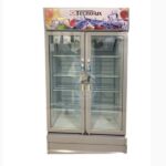 Réfrigérateur Vitrine Tecnolux 2 portes 350
