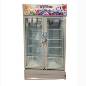Réfrigérateur Vitrine Tecnolux 2 portes 350