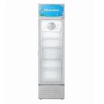 Réfrigérateur Vitrine Hisense 271 L – FL37FC